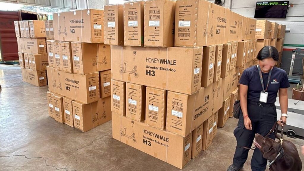 Aduanas confisca 300 mdp de mercancía china en CDMX. Noticias en tiempo real