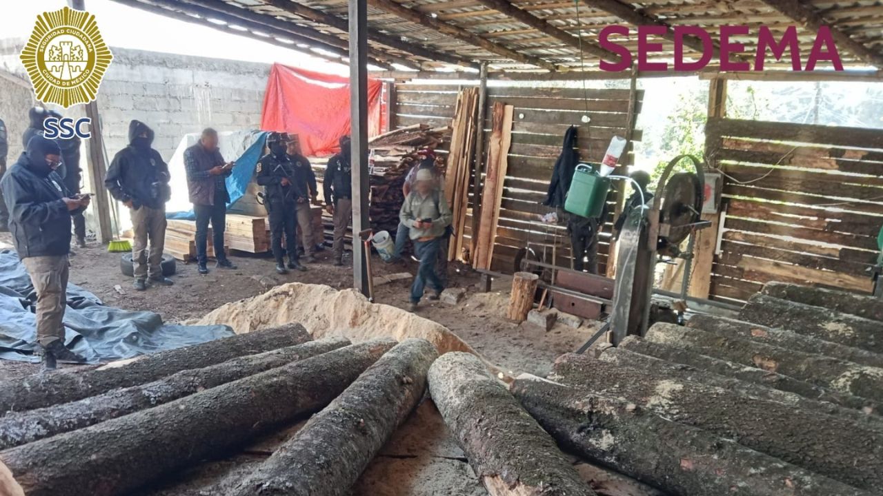 Autoridades aseguran almacén irregular de madera en El Ajusco.