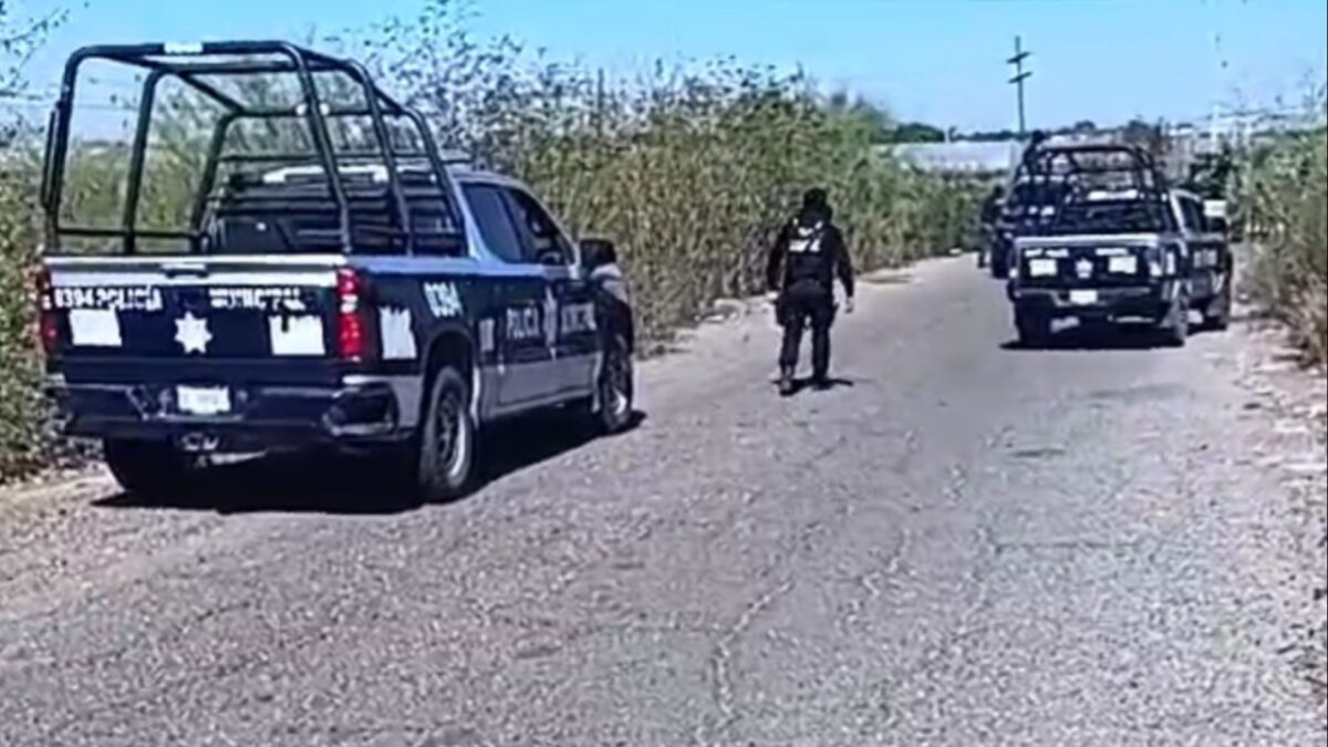 Policías muertos en tres estados