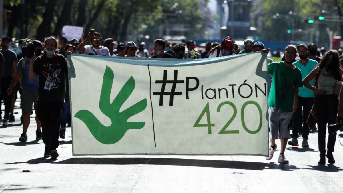Concentraciones - Cannabis