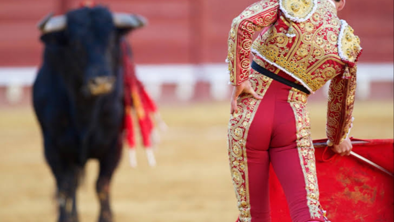 Corridas de toros