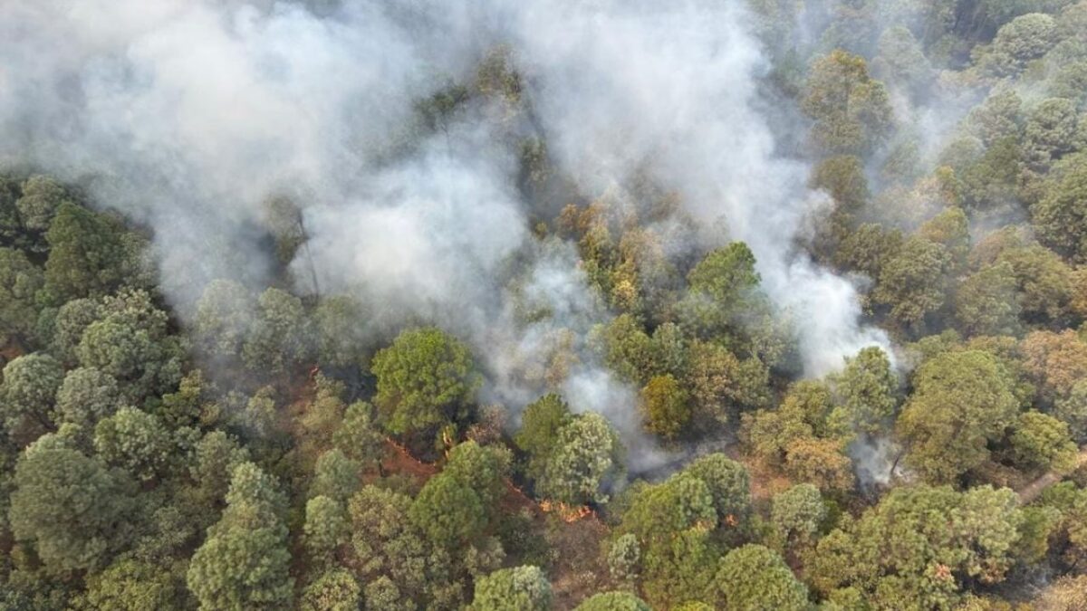 20 estados han registrado incendios forestales que han afectado 4, 227 hectáreas de áreas naturales.