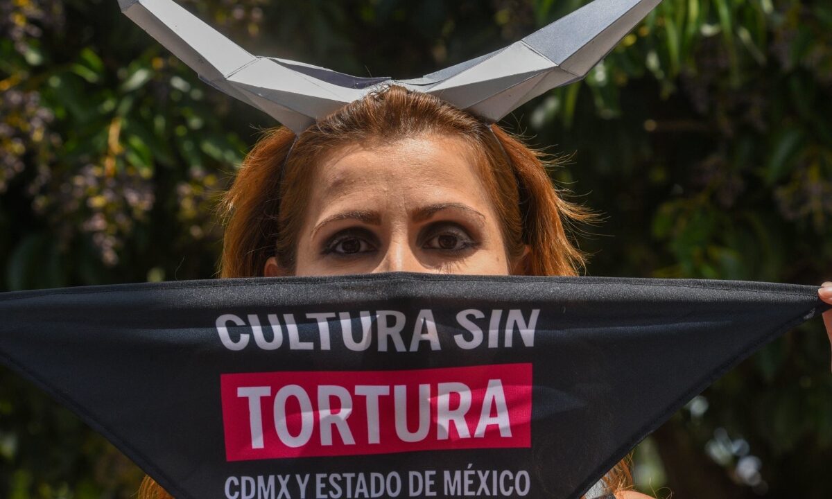 Corridas de toros sin violencia es un paso a la prohibición de espectáculos con animales