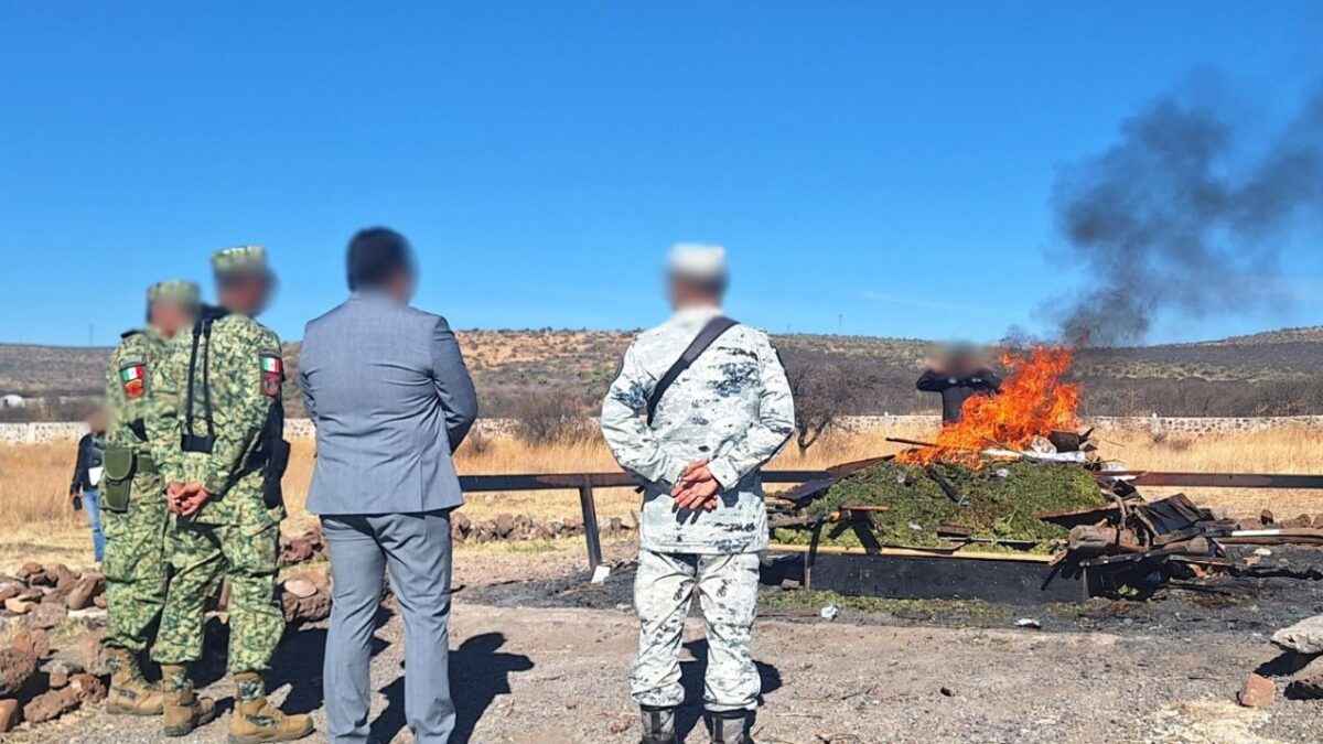 Destrucción de drogas en Durango