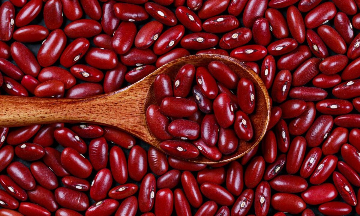 De acuerdo a la Procuraduría Federal del Consumidor (PROFECO), el mexicano consume al año 7.7 kilogramos de frijoles.