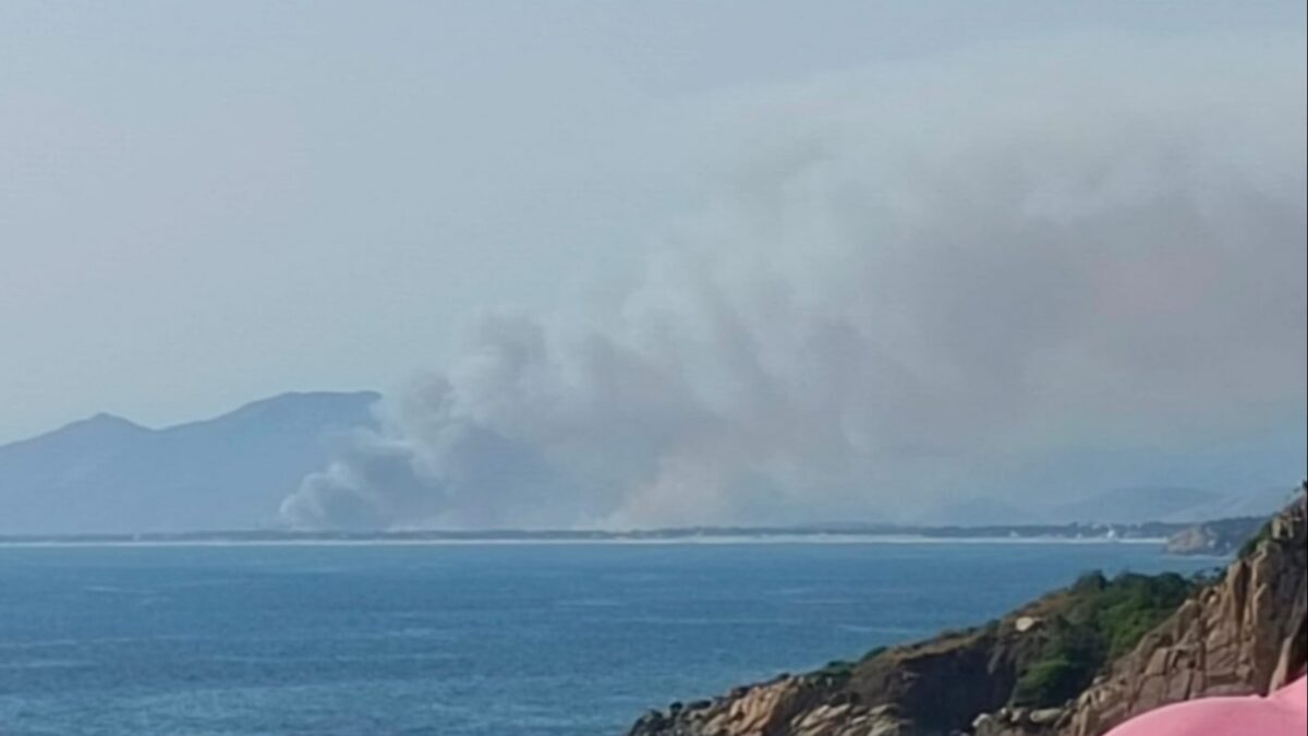 Incendio en Coyuca de Benítez