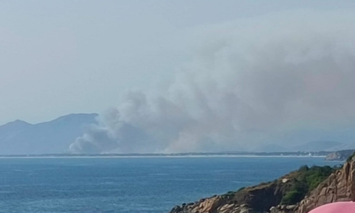 Incendio en Coyuca de Benítez