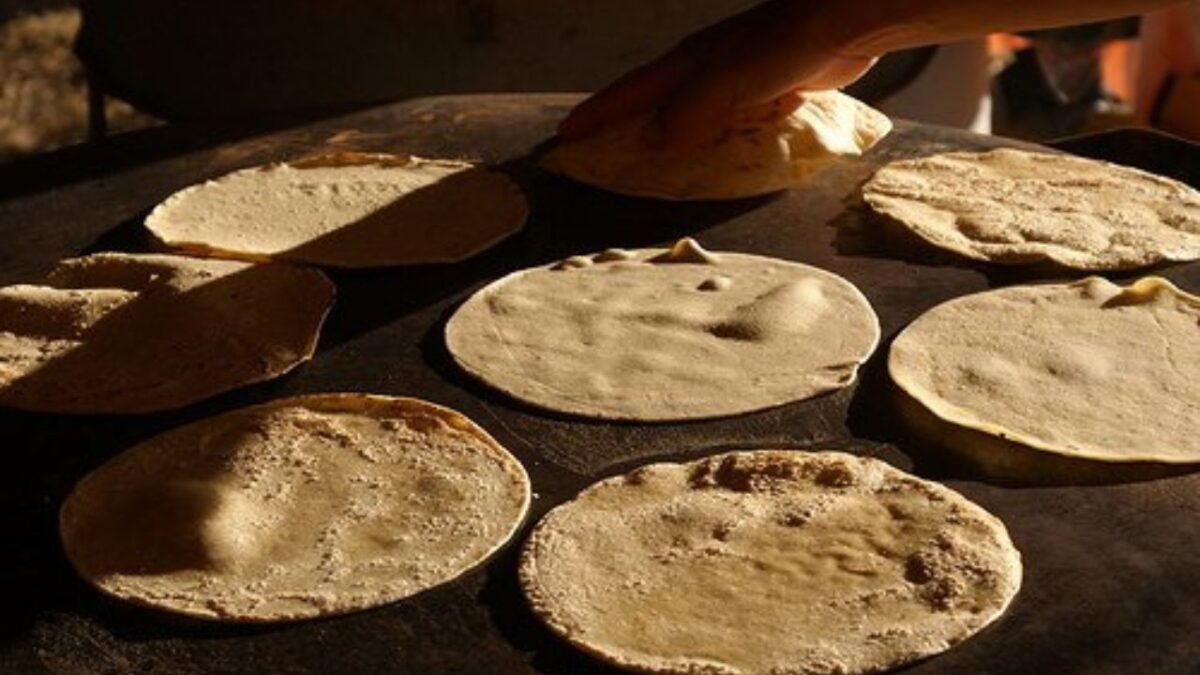 Consejo Nacional de la Tortilla (CNT) descartó fijar un costo por kilo como ha mencionado la administración federal