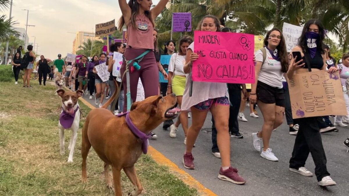 ¿Irás a la marcha del 8M con tu mascota? Checa estas recomendaciones.