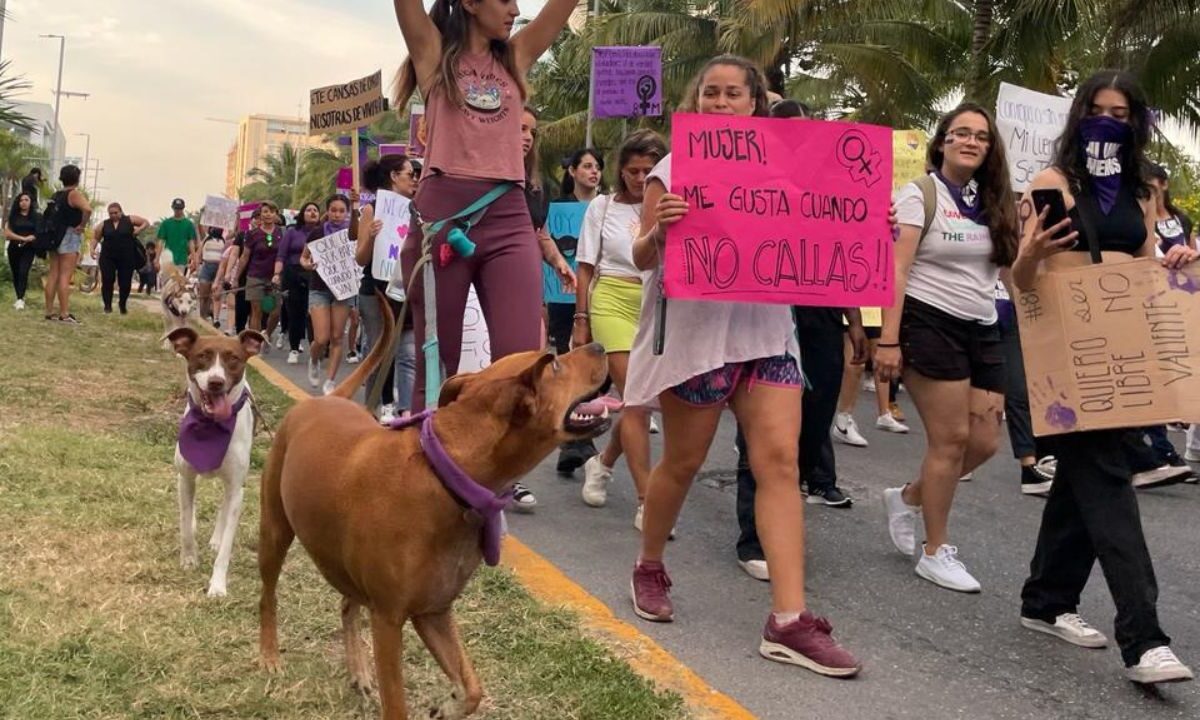 ¿Irás a la marcha del 8M con tu mascota? Checa estas recomendaciones.