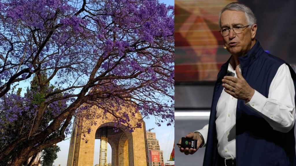 Ricardo Salinas Pliego regalará 50 mil pesos a la mejor foto de jacarandas. Noticias en tiempo real