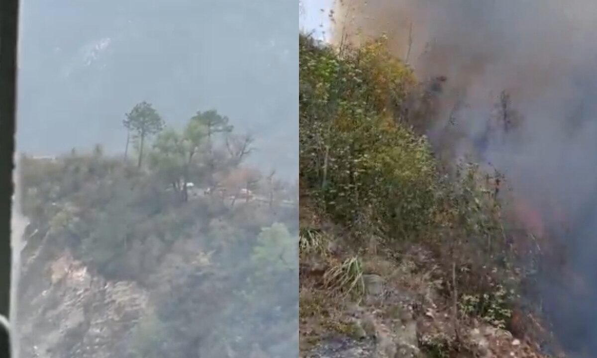 Una camioneta que circulaba sobre la carretera Cola de Caballo en el municipio de Santiago, Nuevo León, cayó a un barranco y comenzó a incendiarse. El saldo: 11 muertos y varios lesionados.