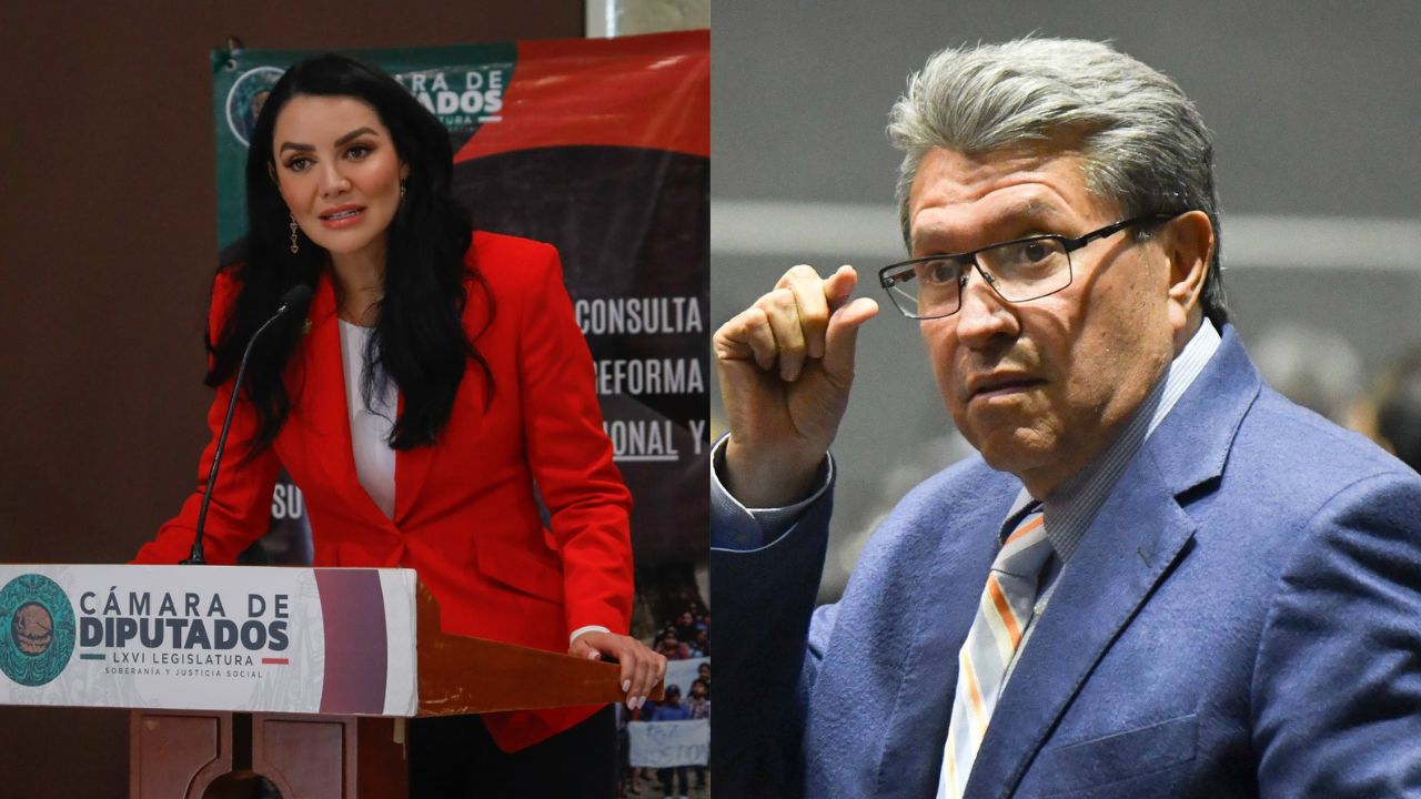 Gabriela Jiménez, vicecoordinadora de Morena, dijo que "ningún diputado necesita pedir permiso.