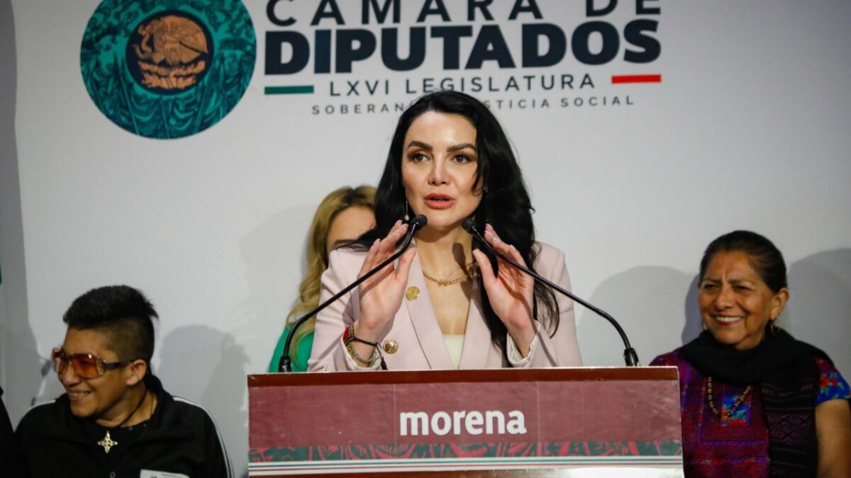 Gabriela Jiménez, vicecoordinadora de Morena, dijo que "ningún diputado necesita pedir permiso.