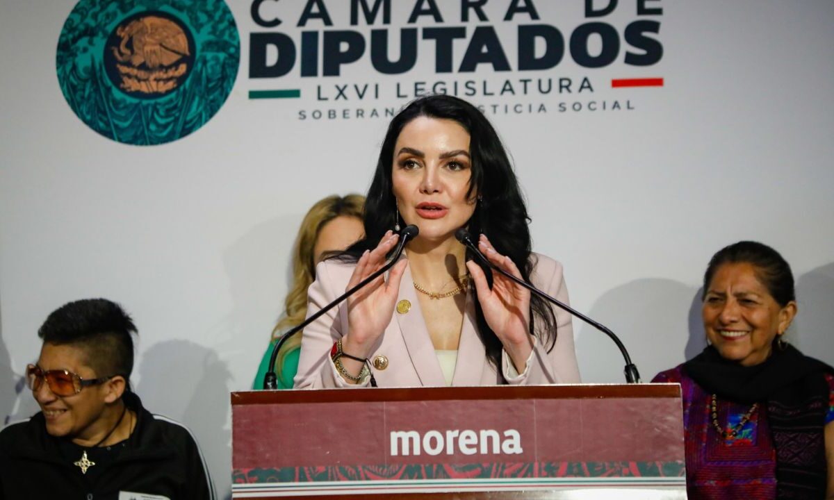 Gabriela Jiménez, vicecoordinadora de Morena, dijo que "ningún diputado necesita pedir permiso.