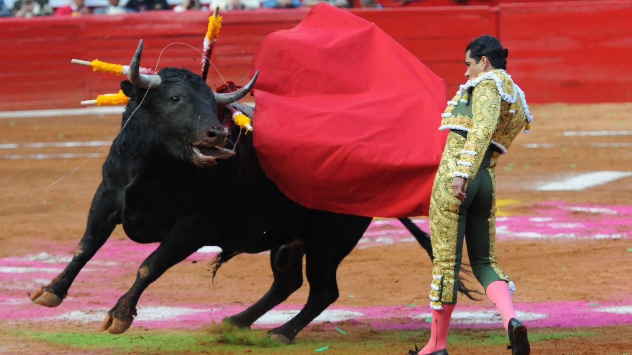 Corridas de toros en la Monumental Plaza México.