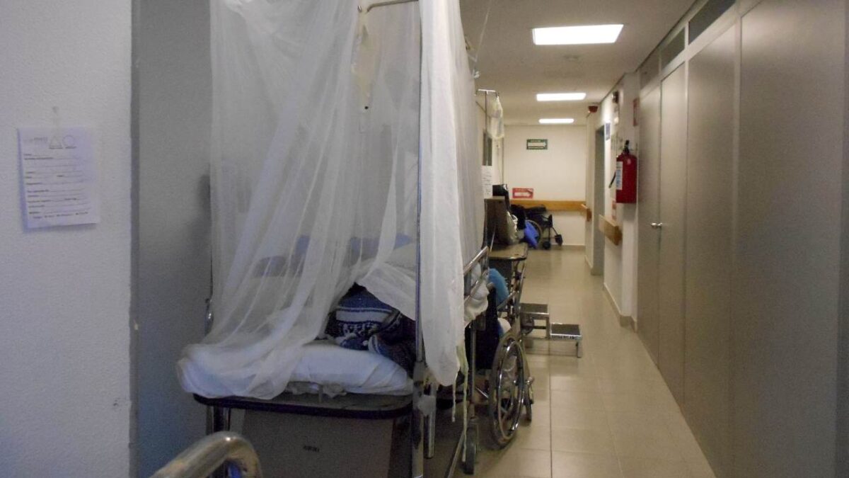 El dengue es una enfermedad causada por un virus y se transmite a las personas por picadura del mosquito portador.