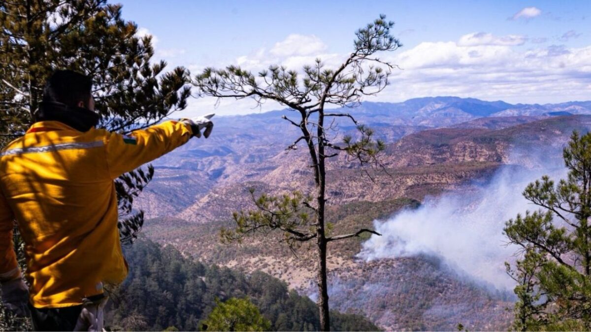 Reportan incendios forestales en Madera, Chihuahua, y Zapopan, Jalisco.