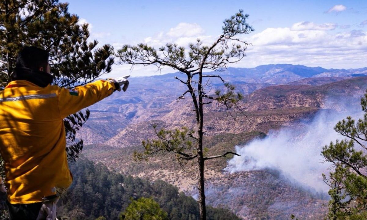 Reportan incendios forestales en Madera, Chihuahua, y Zapopan, Jalisco.