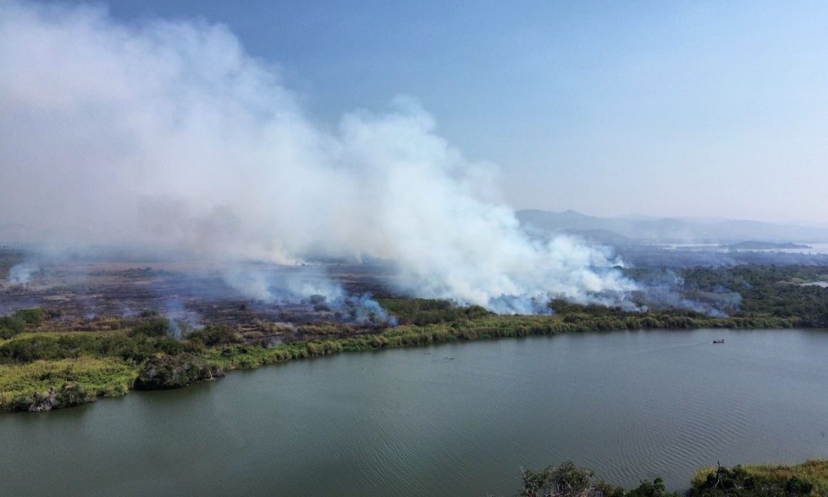 El fuego comenzó en la zona de humedales, en Coyuca de Benítez.