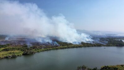 El fuego comenzó en la zona de humedales, en Coyuca de Benítez.