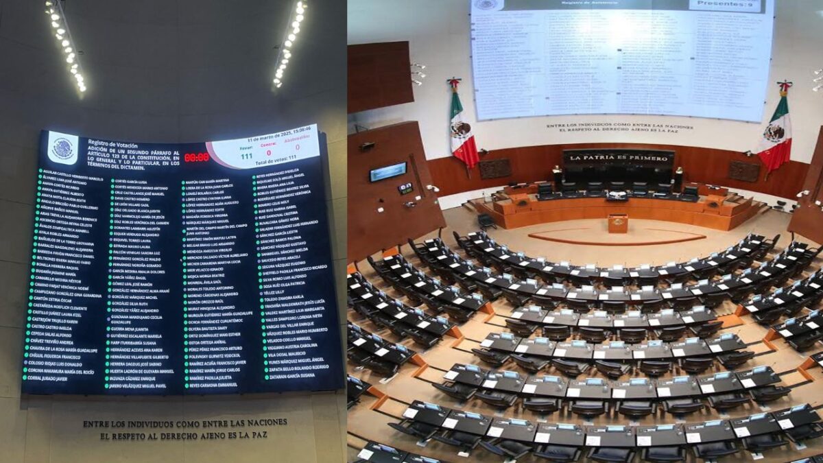 Por unanimidad, Senado aprueba subir a rango constitucional el programa Jóvenes Construyendo el Futuro, creado en el sexenio de AMLO.