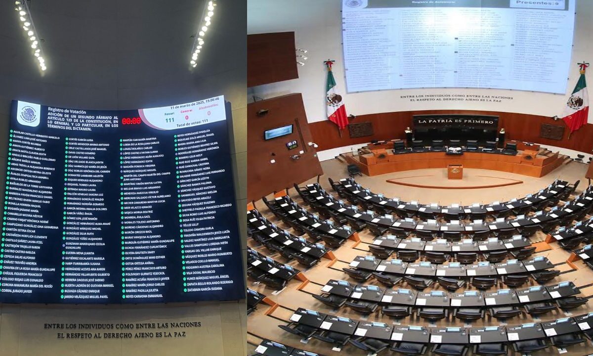 Por unanimidad, Senado aprueba subir a rango constitucional el programa Jóvenes Construyendo el Futuro, creado en el sexenio de AMLO.