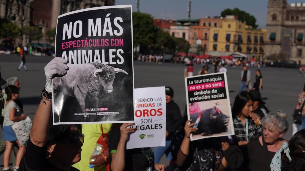 Congreso buscará corridas de todo sin violencia