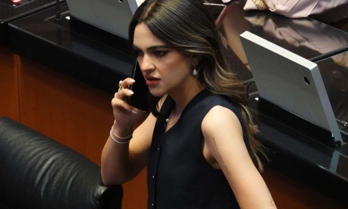 La senadora Andrea Chávez durante la Sesión Ordinaria en el Senado de la República.