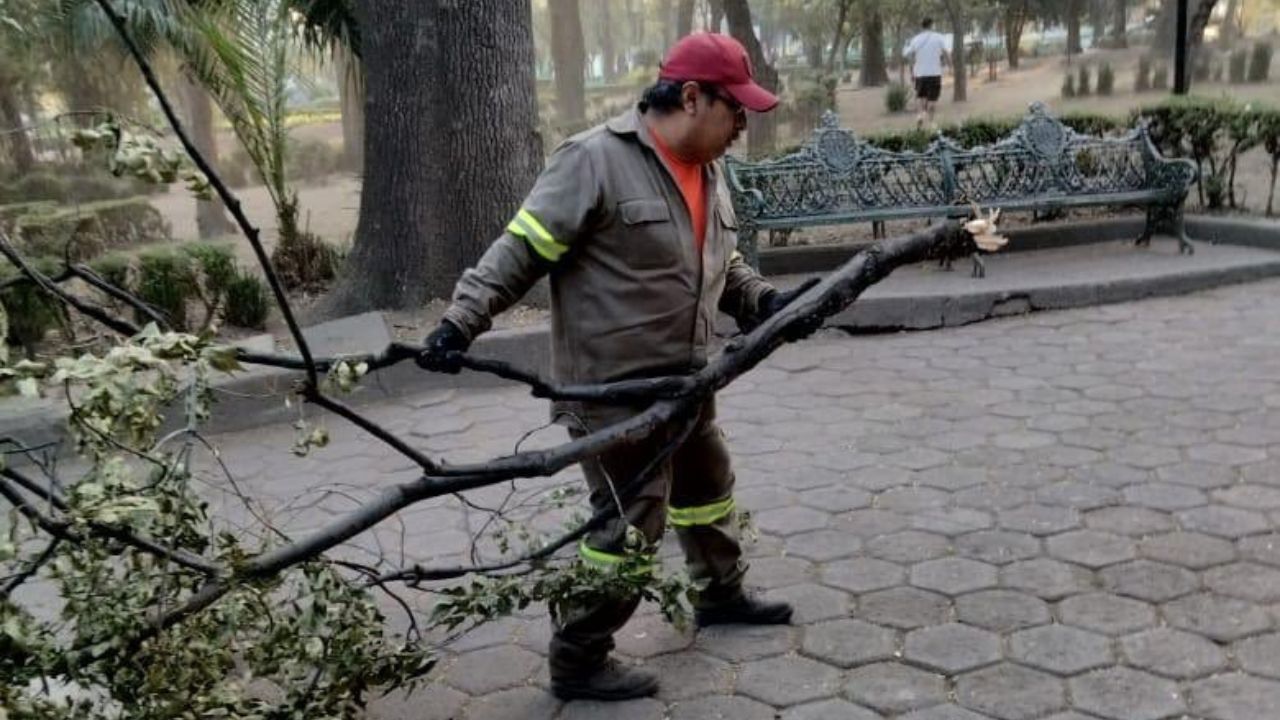 La alcaldía Benito Juárez se dijo abierta al diálogo ante el bloqueo vial realizado por representantes de la Sección 6 del Sindicato de Trabajadores de la CDMX.