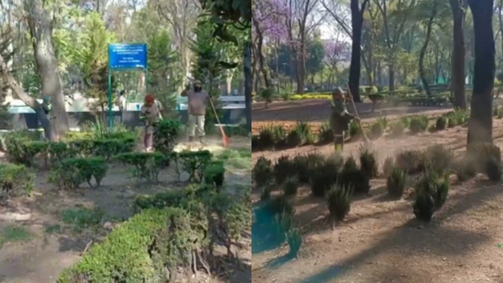 El acuerdo se dio en favor del mantenimiento y mejoramiento de las áreas verdes de la alcaldía.