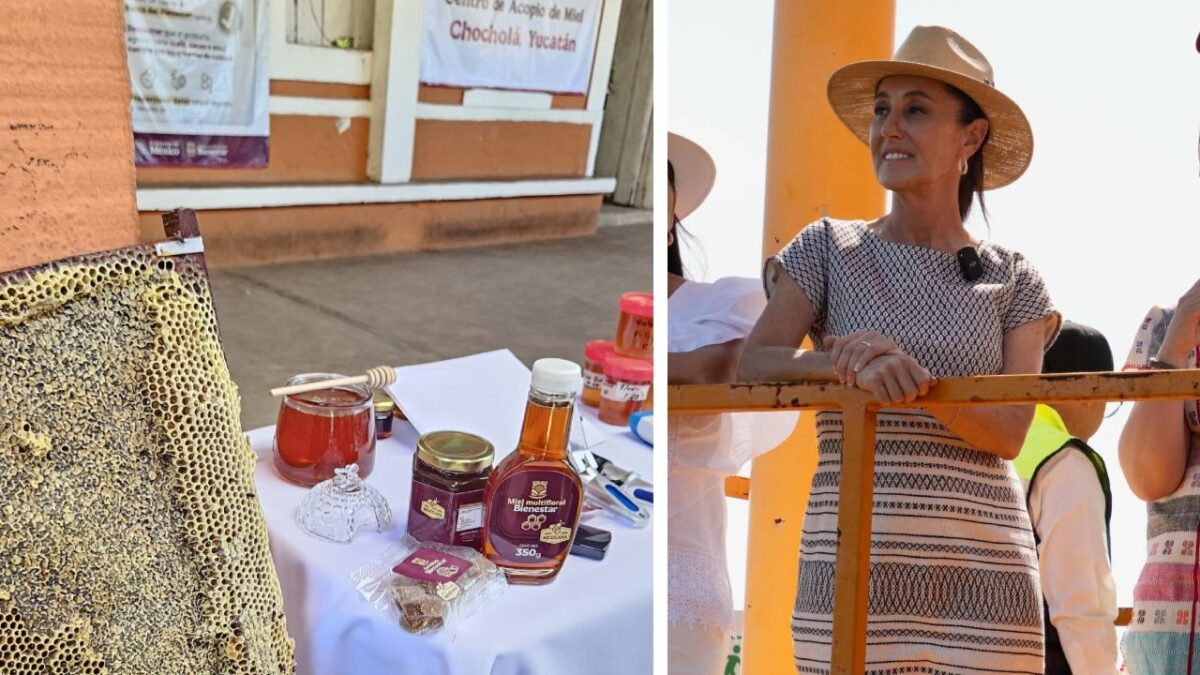 La presidenta Claudia Sheinbaum anunció la creación de la Miel del Bienestar.