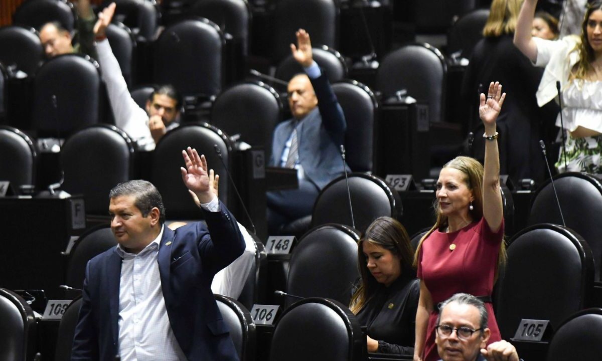 El pleno de la Cámara de Diputados aprobó la ley de armas de fuego y explosivos.