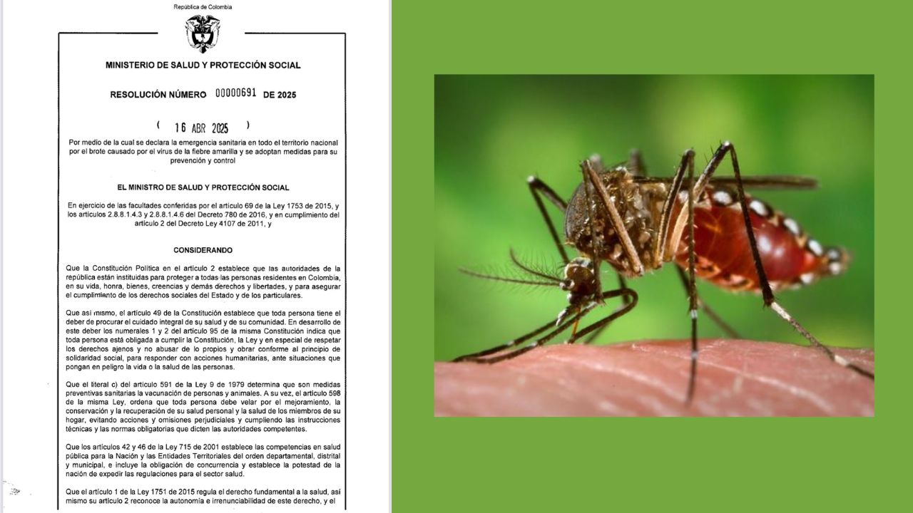 El Ministerio de Salud de Colombia declaró alerta sanitaria por aumento de casos de fiebre amarilla transmitida por picaduras de mosquitos.