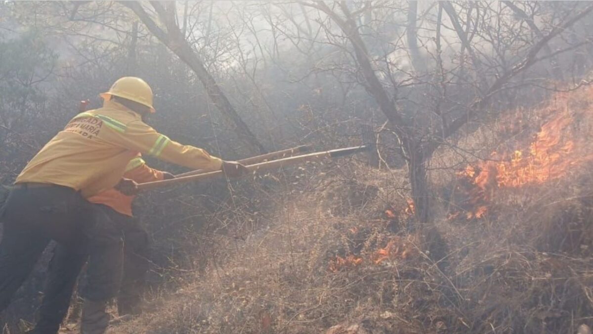 El Gobierno de Oaxaca confirmó la muerte de dos brigadistas que combatían un incendio forestar en El Manzanito en Santa María Peñoles.