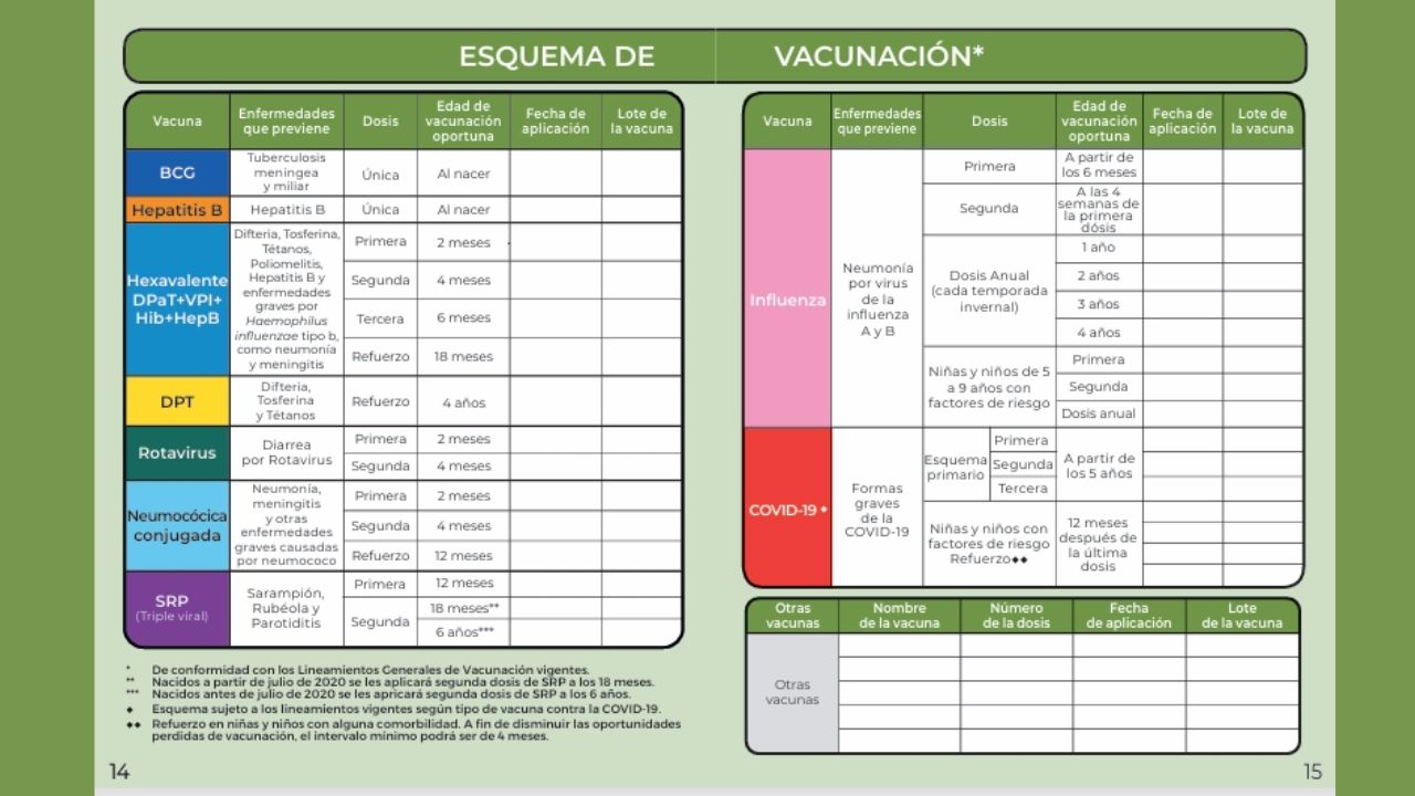 Descubre los detalles sobre la Primera Semana Nacional de Vacunación de 2025 para poner al corriente los esquemas de vacunación en México.