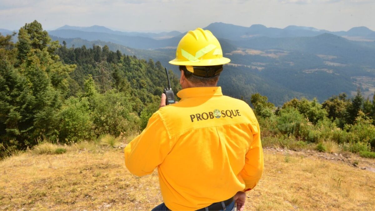 El Estado de México detecta incendios forestales en 14 minutos, cuando generalmente se realizan en 51.