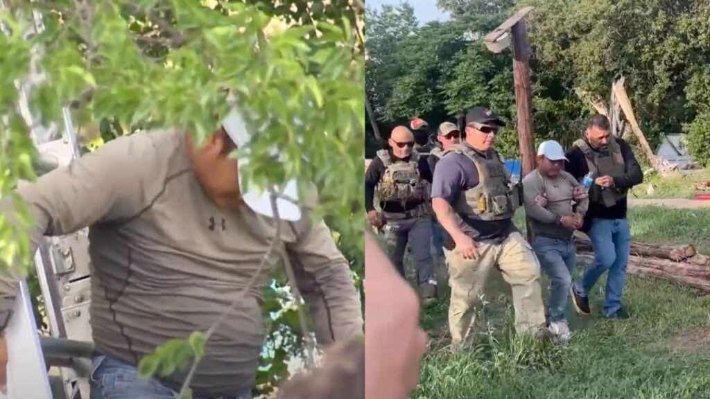 Guatemalteco permanece 8 horas en un árbol para evitar ser deportado en EU. Noticias en tiempo real