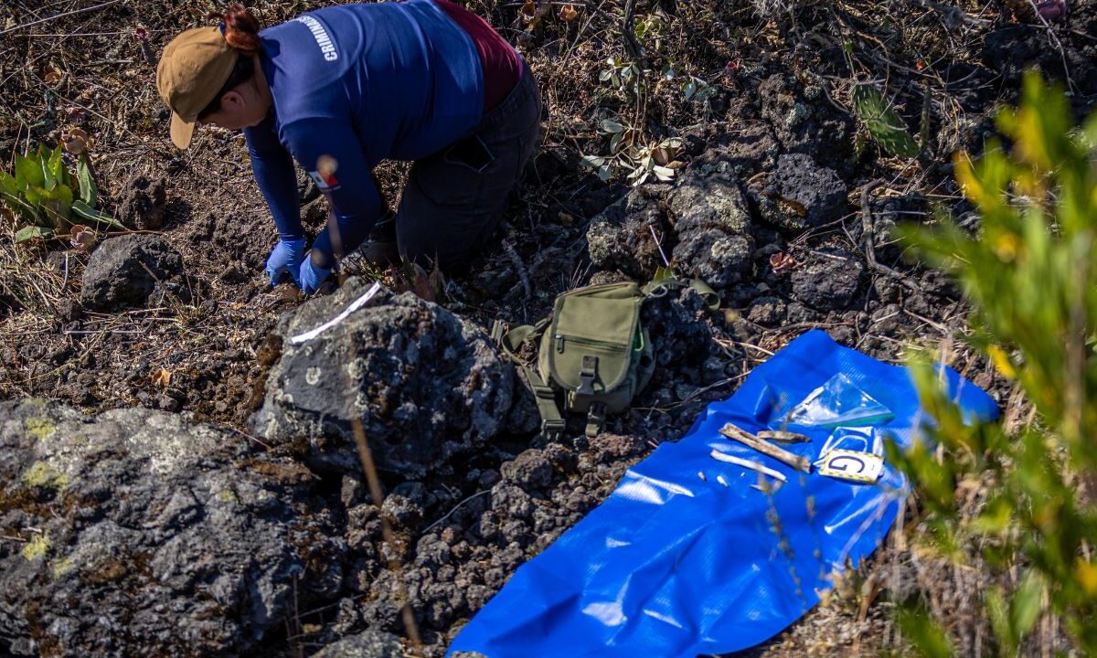 Hallan posibles restos óseos humanos en primer día de la 5ta Brigada Regional de Búsqueda en la Ciudad de México.