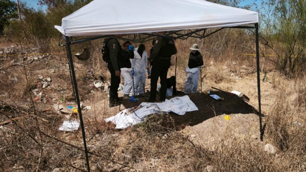 Al menos once cuerpos en estado de descomposición fueron localizados en el ejido Mezquitillo, Culiacán.
