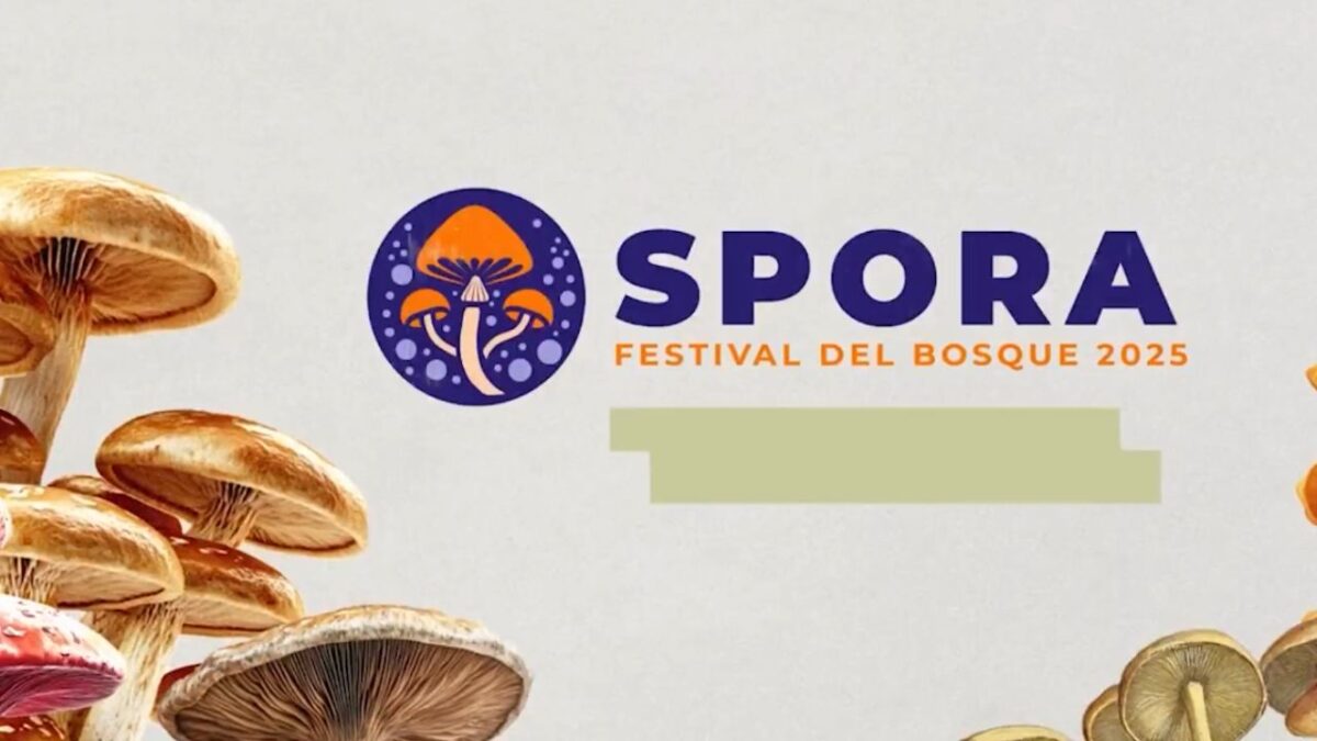 Llegará Festival “Spora” al Bosque de Chapultepec.