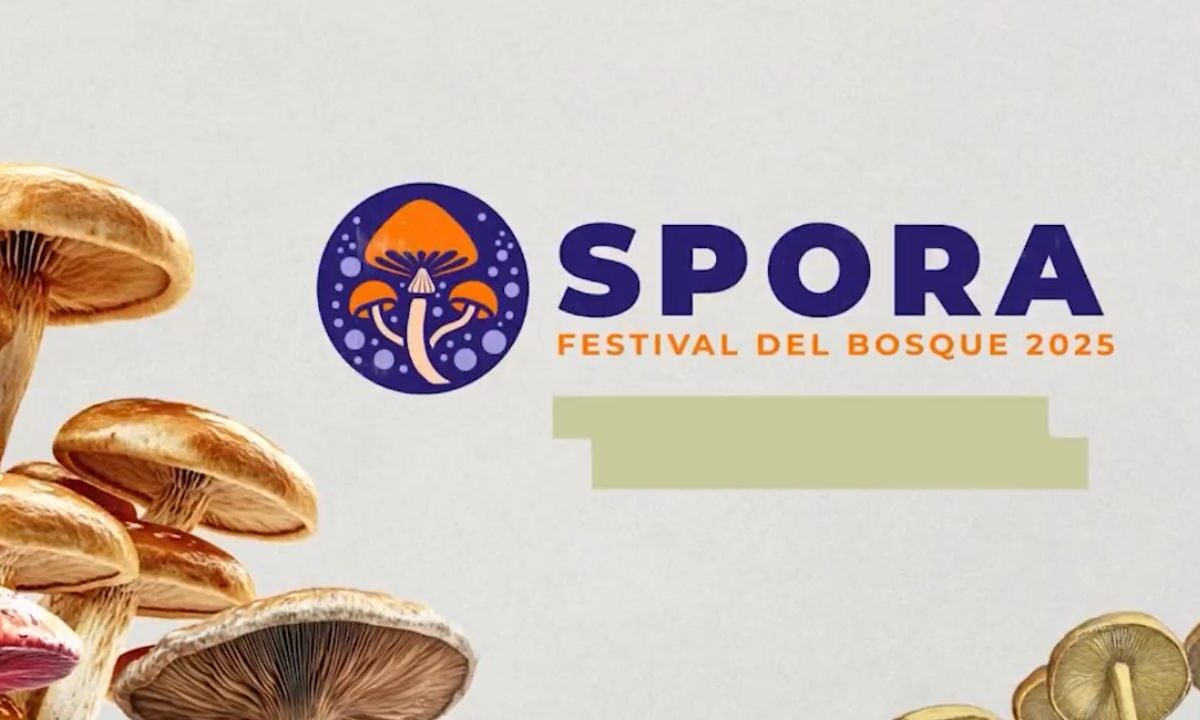 Llegará Festival “Spora” al Bosque de Chapultepec.