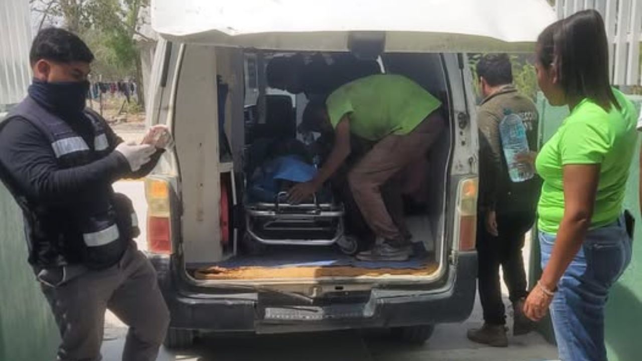 Cocodrilo ataca a niño de 8 años en Oaxaca.