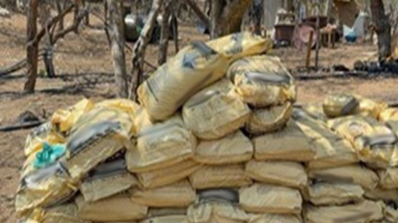 En Oaxaca, Ejército destruye narcolaboratorio con valor de 3.8 mmdp