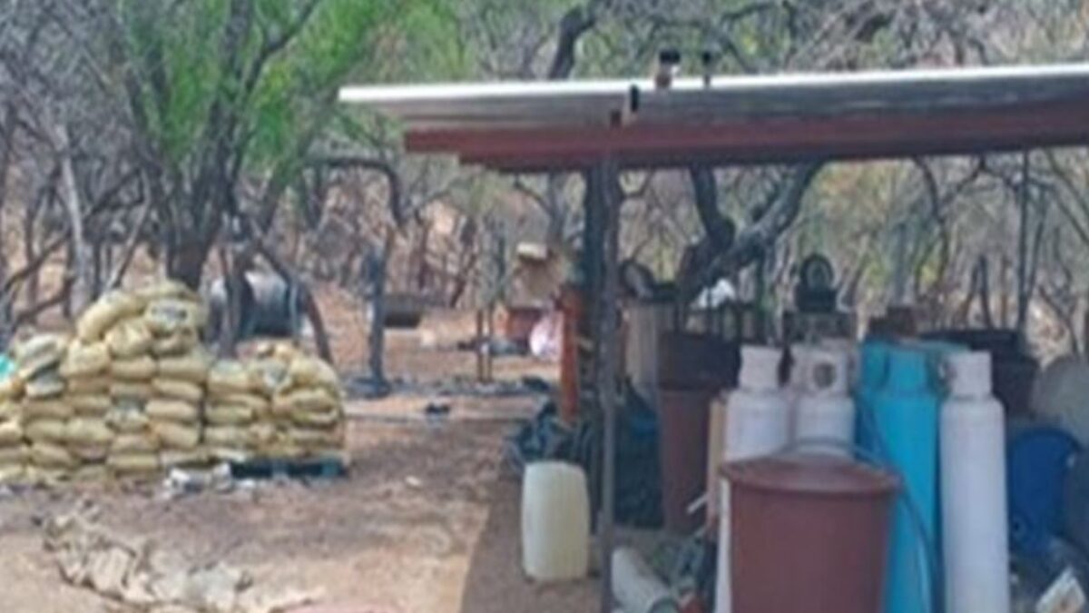 En Oaxaca destruyen un narcolaboratorio importante