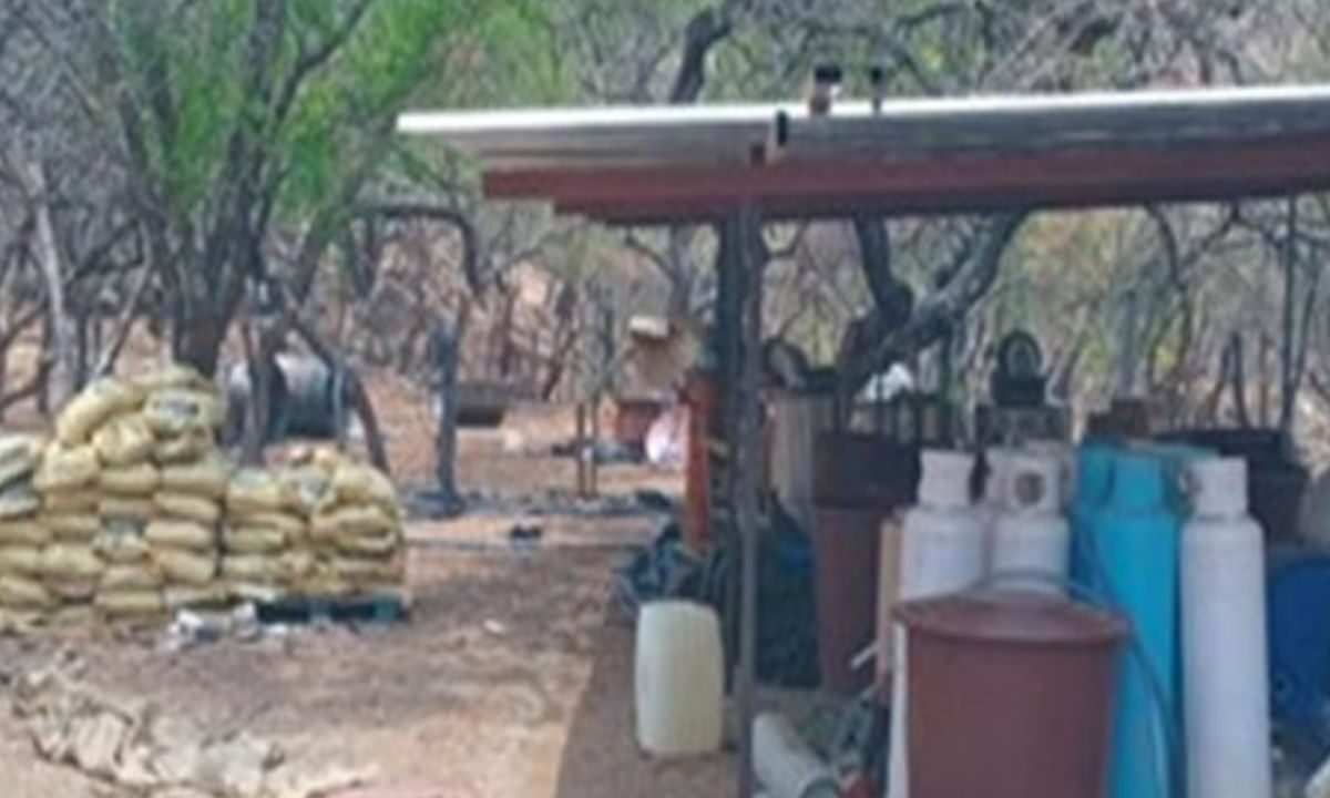 En Oaxaca destruyen un narcolaboratorio importante