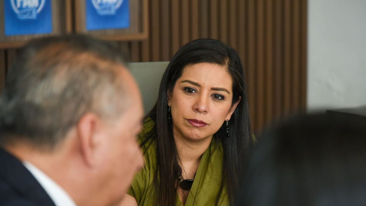 Pide PAN garantizar autonomía en gestión del IPDP