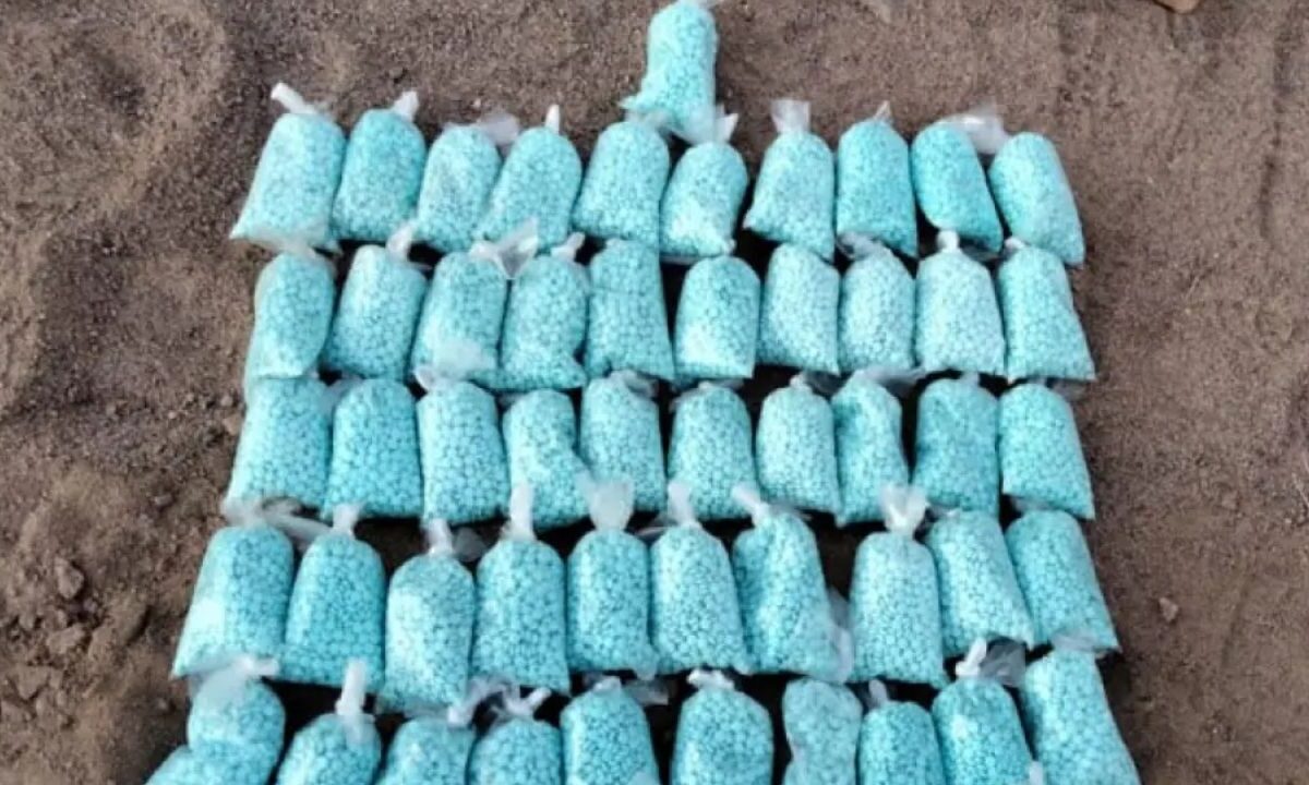 Fuerzas federales descubrieron más de 5 mil pastillas de fentanilo que estaban ocultas en una bocina que iba a ser enviada por mensajería.