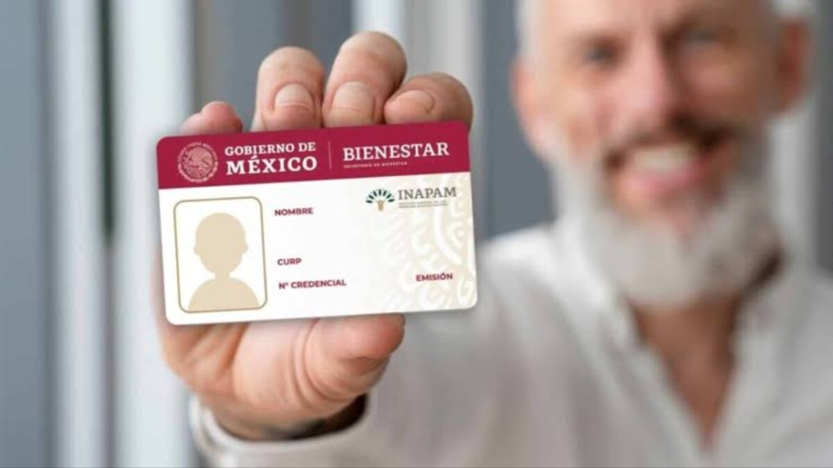 Así tramita la reposición de tu credencial del INAPAM
