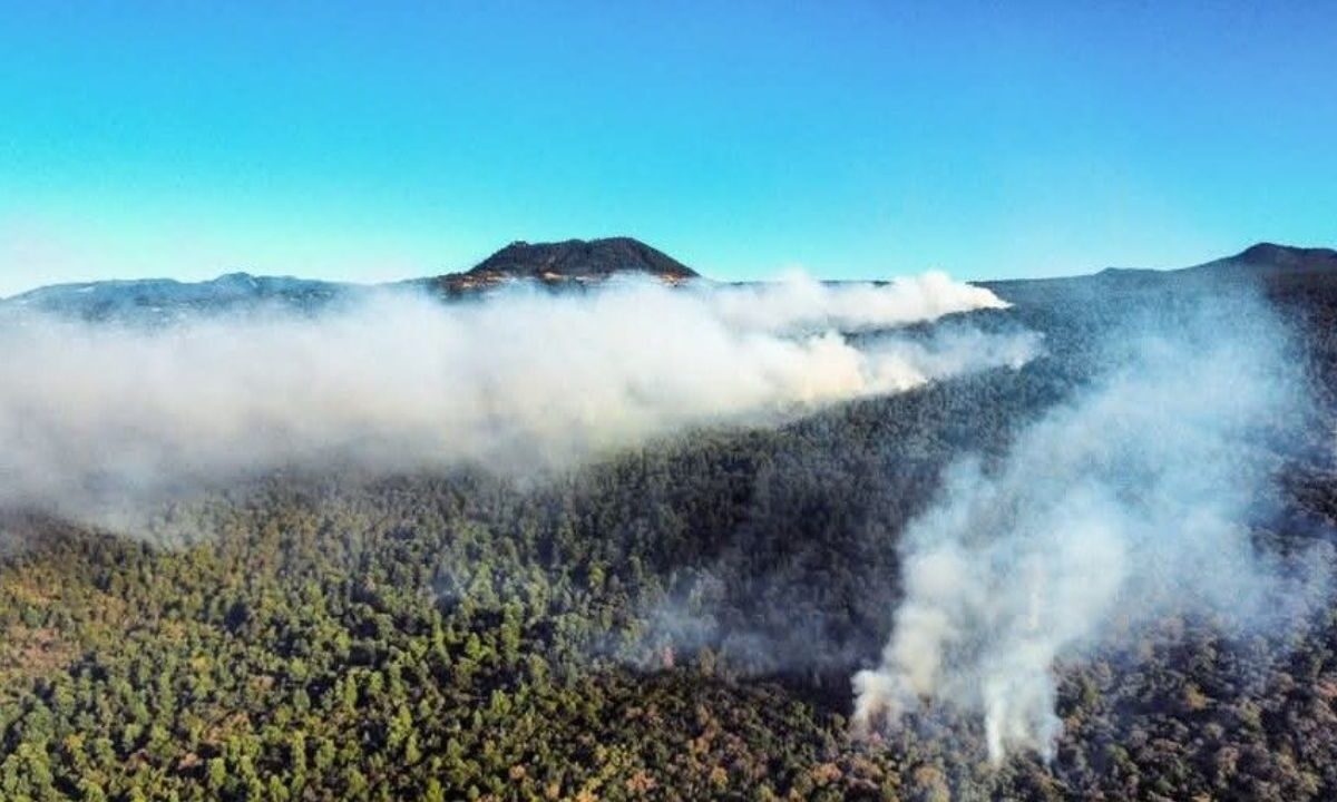 Un incendio forestal afecta el barrio de Santo Domingo desde la tarde del lunes.